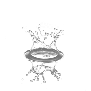 Splish Splash